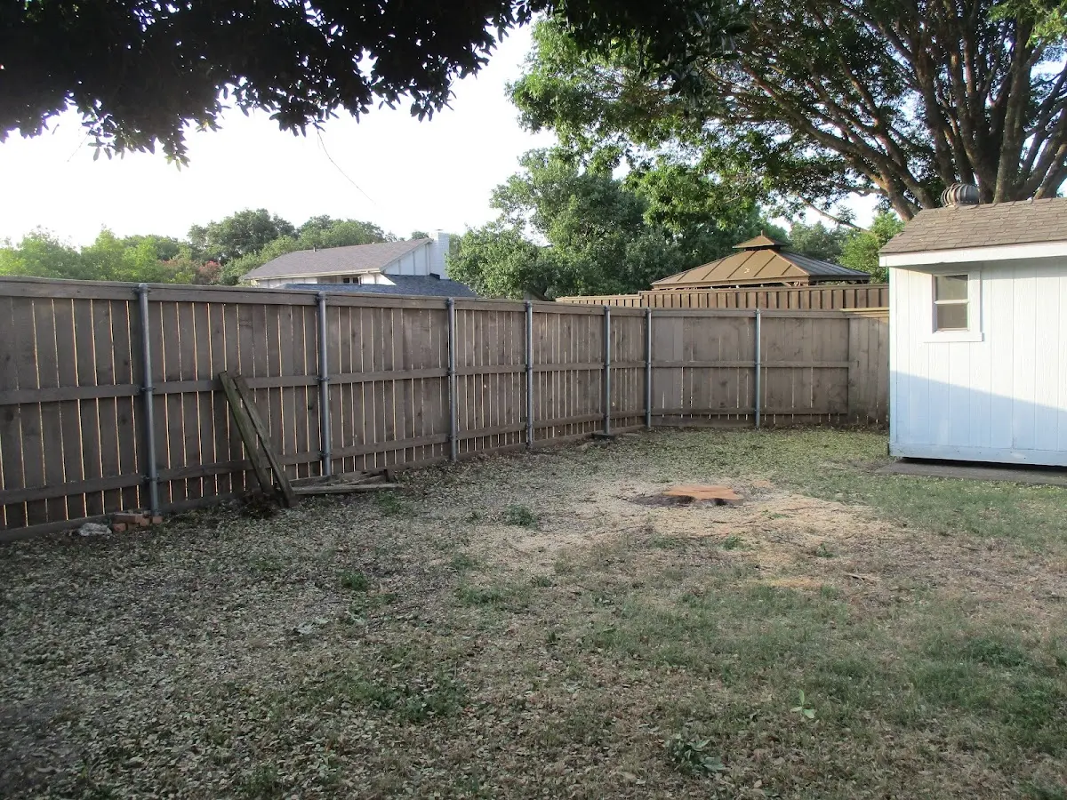 Cleared yard after professional tree removal in Horseheads